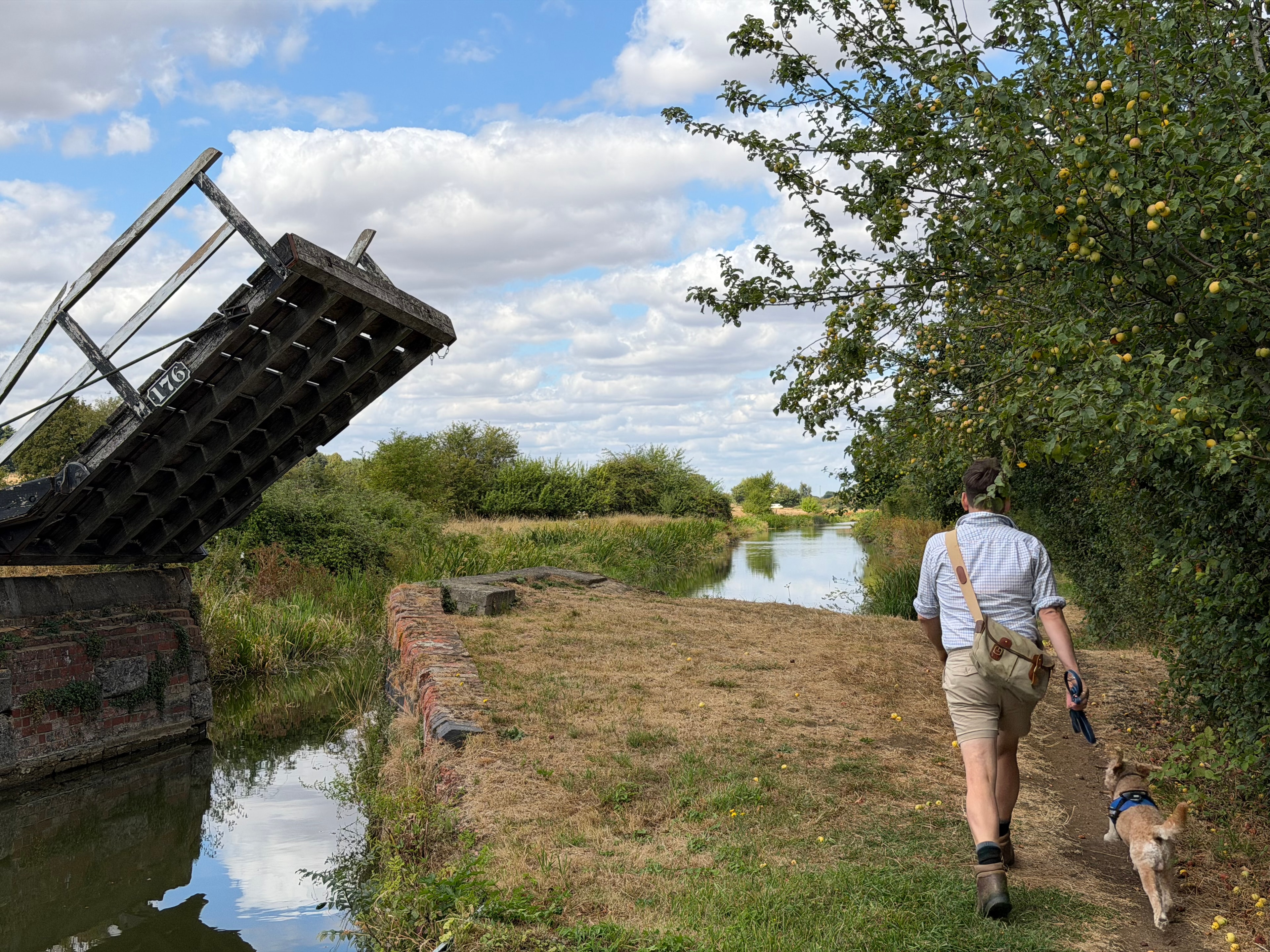 Person walking a dog along the Oxford Canal towpath near Bridge 176, with the lift bridge raised and the canal stretching into the distance