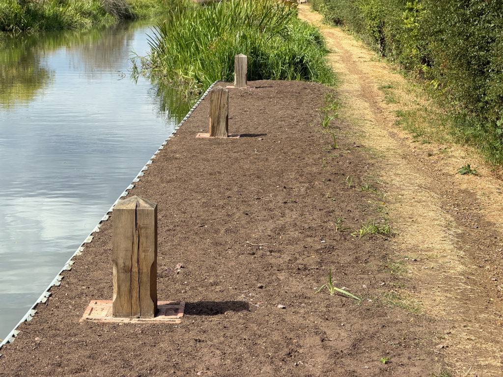 Newly installed wooden mooring posts and freshly laid soil along the canal towpath edge, showing recent towpath improvement works